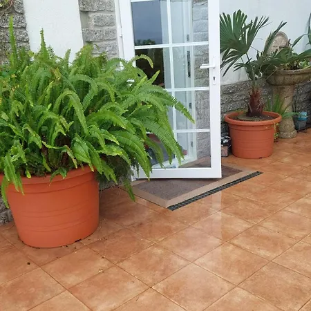 Peregrinos Al Pie Del Camino *