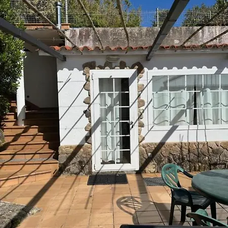 Peregrinos Al Pie Del Camino Vigo
