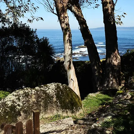 Peregrinos Al Pie Del Camino * Vigo