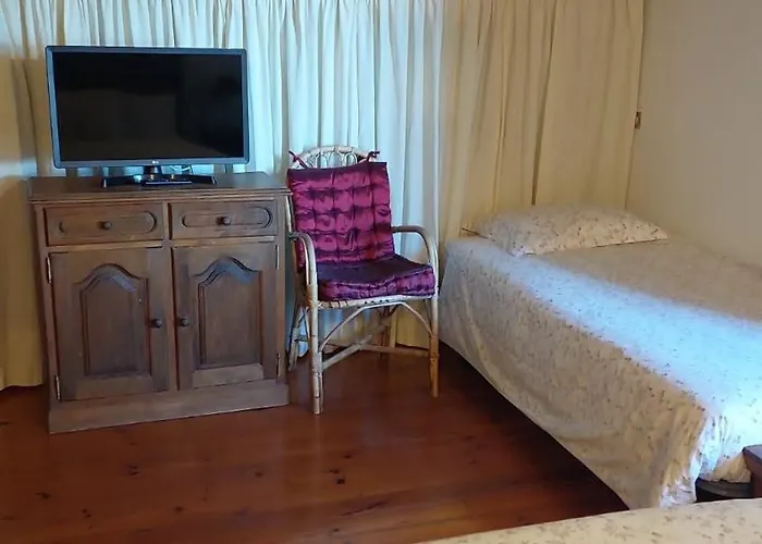 Peregrinos Al Pie Del Camino Comarca de Vigo